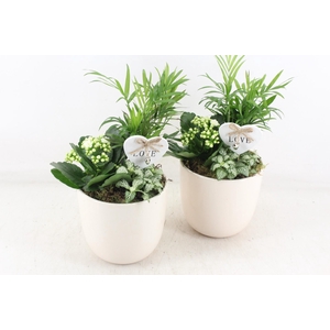 arr2 JS - Ker. taupe pot x6 - wit