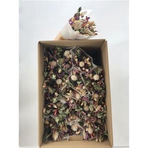 Dr Bqt Dried Light Milka