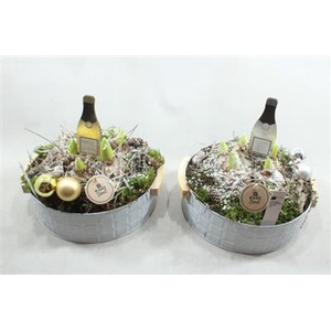 3122 SCHAAL HANDVAT NY