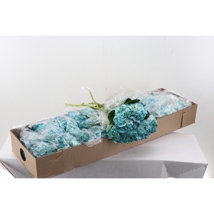 Hydr Tiffany Tinted Sel Box