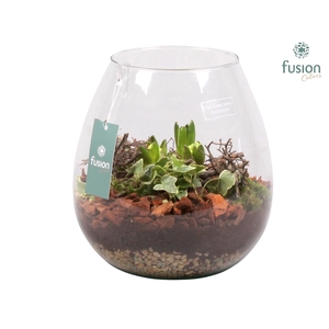 Green Bottle Abby Large met Hyacint Arrangement