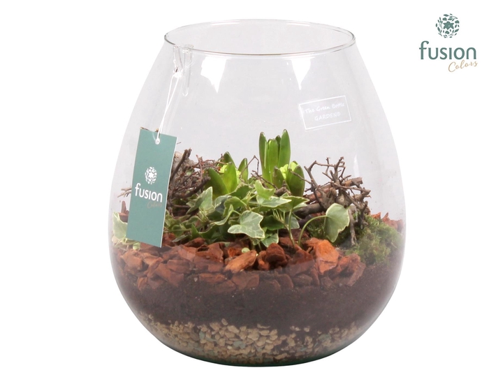 <h4>Green Bottle Abby Large met Hyacint Arrangement</h4>