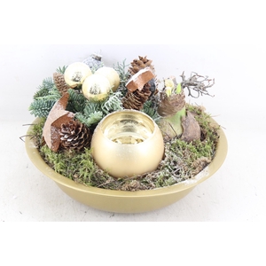 arr4 Amaryllis MB - Zink gold wax