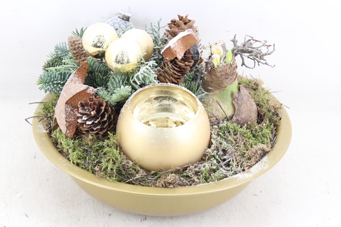 <h4>arr4 Amaryllis MB - Zink gold wax</h4>