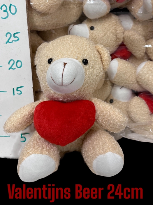 <h4>Valentine's Day Teddy Bear 24cm</h4>
