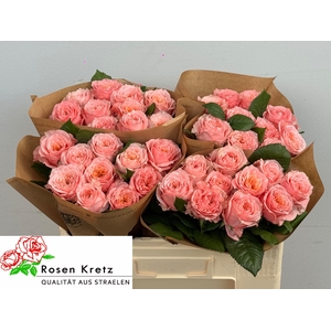 R GR ELENA