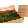 Mood Moss Gepreserveerd Ca. 0,2 M2