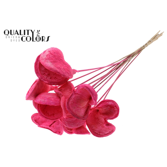 <h4>Badam on stem Intense Cerise</h4>