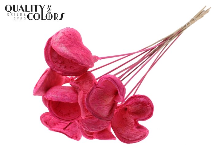 <h4>Badam On Stem Bleached Cerise</h4>