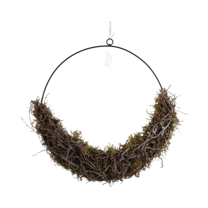 <h4>Ring Lappenmos/bonsaihout</h4>