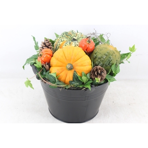 arr4 Sierfruit MB - Zink emmer black x3