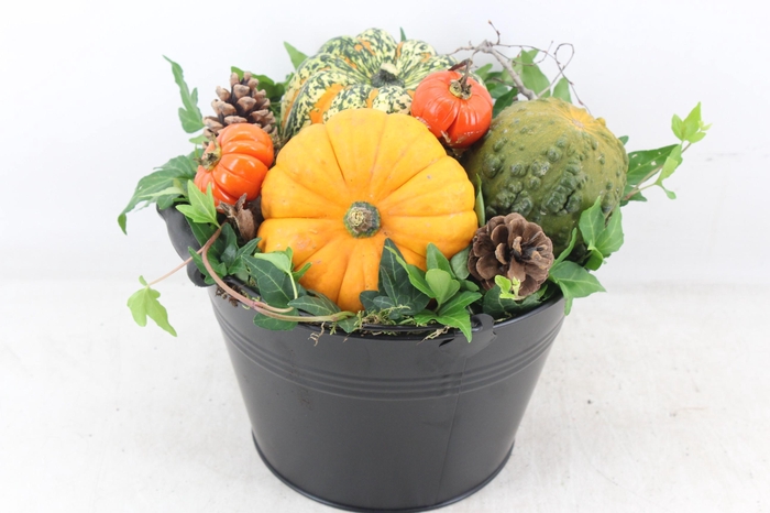<h4>arr4 Sierfruit MB - Zink emmer black x3</h4>