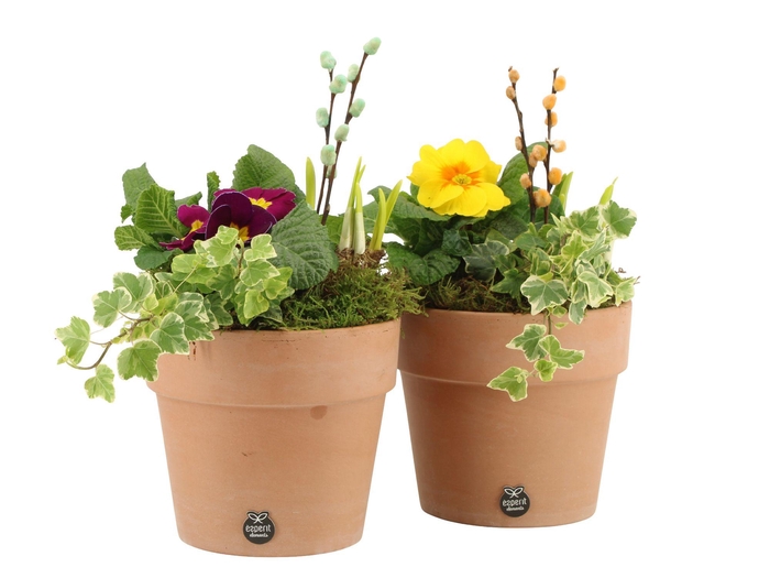 <h4>11669: Outdoor spring arrangement</h4>