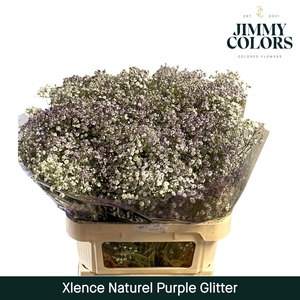 Gyps Xlence L80 Naturel + silver glitter