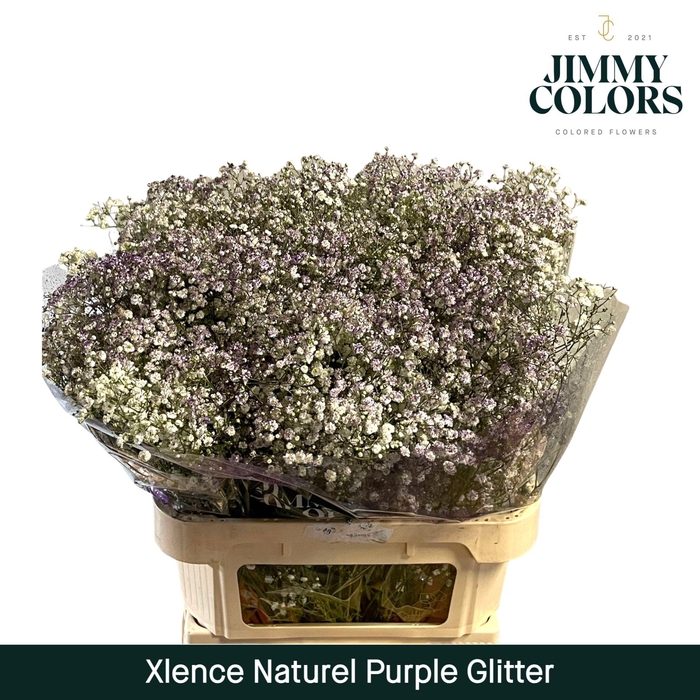 <h4>Gyps Xlence L80 Naturel + silver glitter</h4>