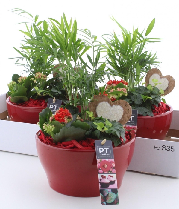 <h4>ARR KAMERPL</h4>