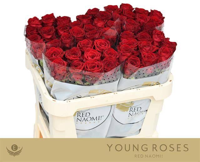 <h4>R GR RED NAOMI!</h4>