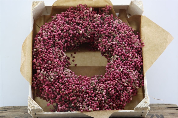 <h4>Wr Schinus 30cm X9</h4>