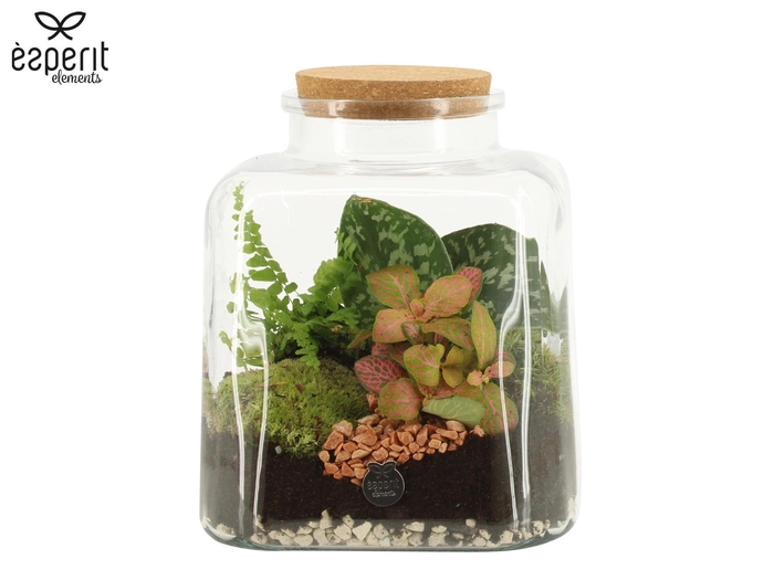 <h4>90886: Terrarium arrangement</h4>