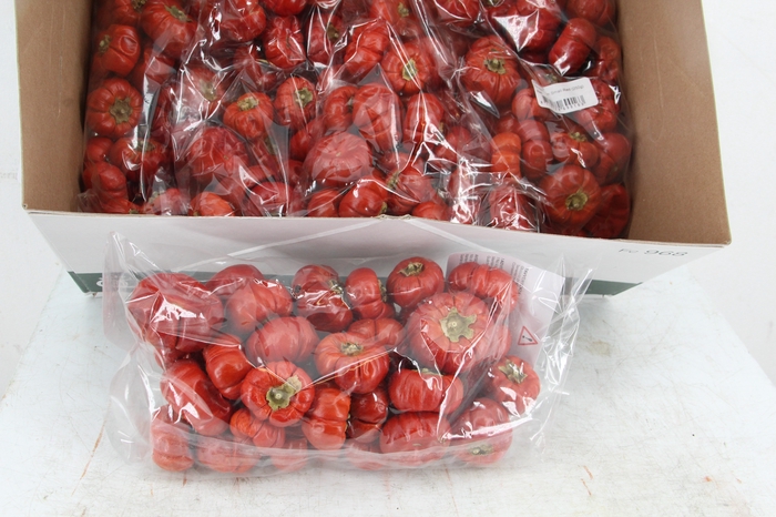 <h4>Frt Solanum Small Red (250g)</h4>