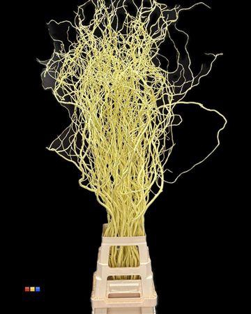 <h4>Salix 130cm Light Yellow</h4>