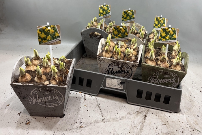 <h4>ARR N TETE A TETE</h4>