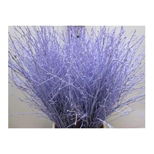 BERK LICHT MILKA L60