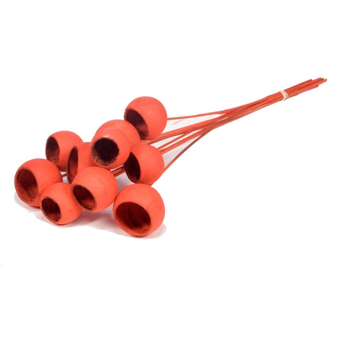 <h4>Bell cup o/s 10pc SB burnt orange</h4>