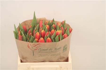 <h4>Tu En Trailblazer</h4>