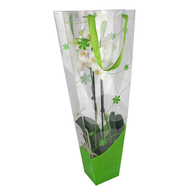 <h4>Bag Flow PP 30/12x11xH70cm Green</h4>