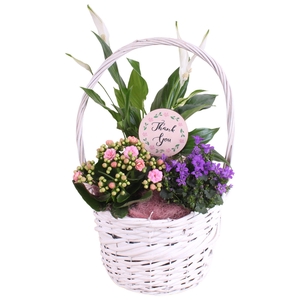 Mothersday Arr. Indoor Willow Basket with Handles Ø25cm 3PP