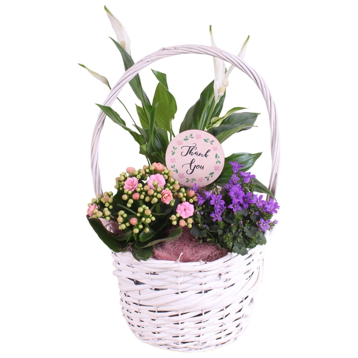 <h4>Mothersday Arr. Indoor Willow Basket with Handles Ø25cm 3PP</h4>