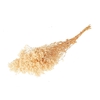 Pres Gyps Bleached Bunch Slv 100gr