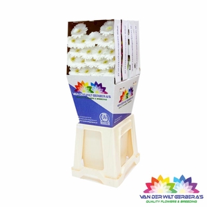 Germini Lobby Diamond