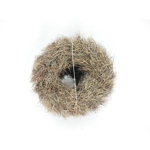 KRANS 22 IRON GRASS 30CM