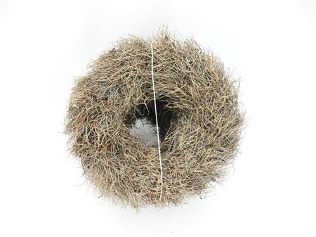 <h4>KRANS 22 IRON GRASS 30CM</h4>