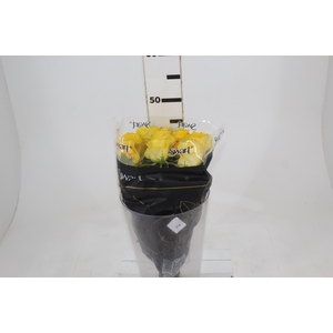 ROSA GOLDEN TOWER 040 CM AMARELO ESTUFA