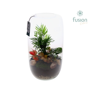 Green Bottle Isabella XXLarge met arrangement