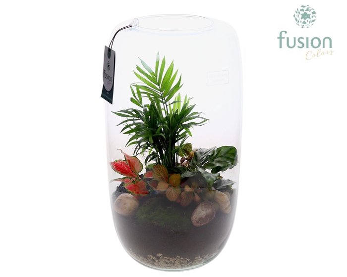 <h4>Green Bottle Isabella XXLarge met arrangement</h4>
