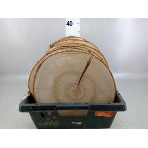 Hout   ...L%