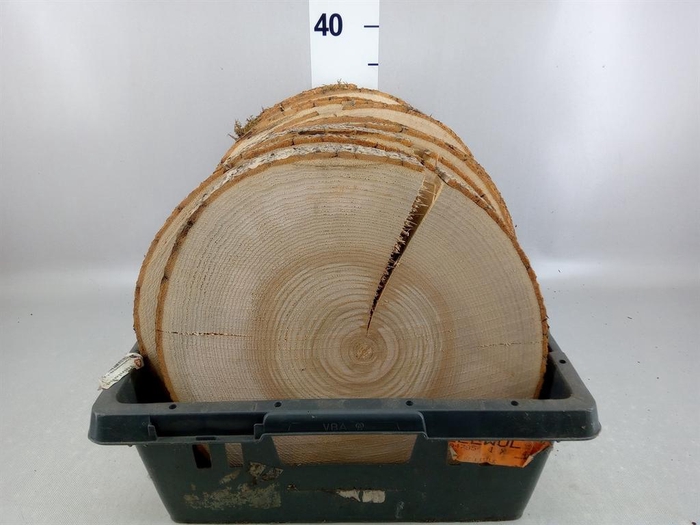 <h4>Hout   ...L%</h4>