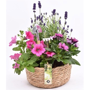 Touwmand laag 19,5cm