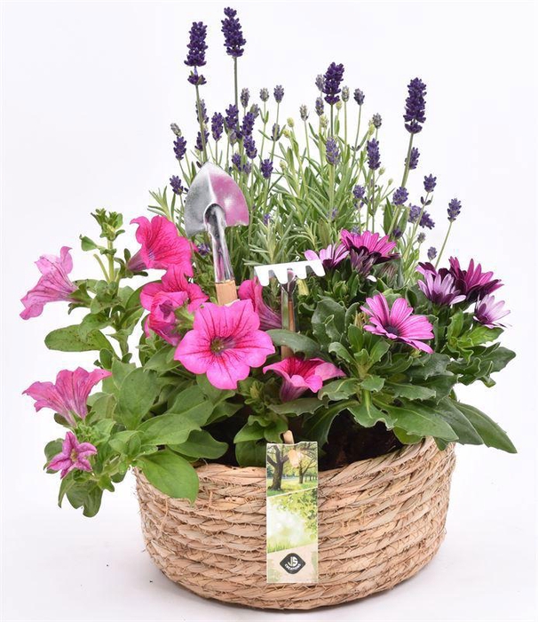 <h4>Touwmand laag 19,5cm</h4>