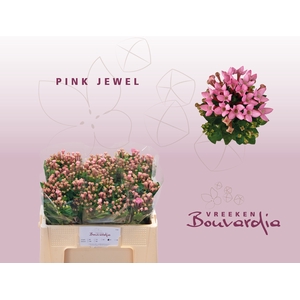 BOU EN PINK JEWEL