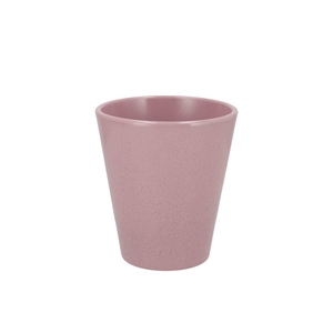Ceramic Rosa Stone Pot Orchid 15cm