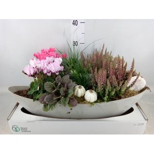 Arr.   Tuinplanten L%