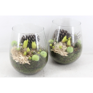 arr4 Hyacint PL - Glas pot patna x2