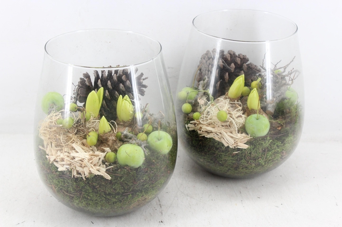 <h4>arr4 Hyacint PL - Glas pot patna x2</h4>