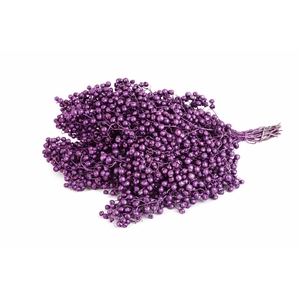 Snijbloemen overig kleurbehandeld H%