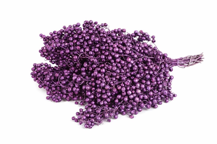 <h4>Snijbloemen overig kleurbehandeld H%</h4>